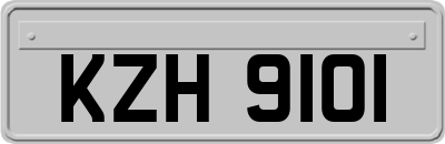 KZH9101