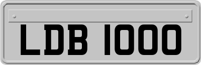 LDB1000