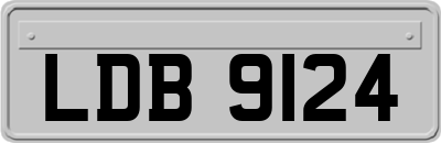 LDB9124