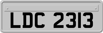 LDC2313