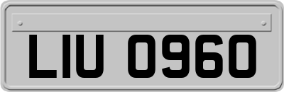 LIU0960