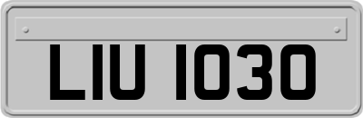 LIU1030