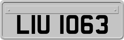 LIU1063
