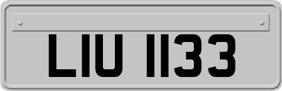 LIU1133