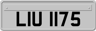 LIU1175