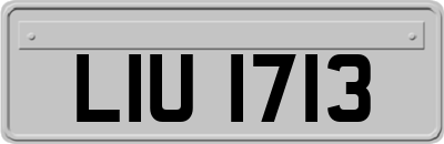 LIU1713