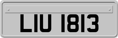 LIU1813