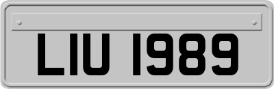 LIU1989