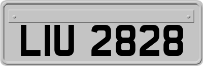 LIU2828