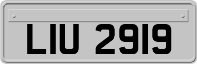 LIU2919