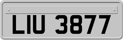 LIU3877