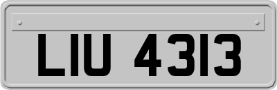 LIU4313