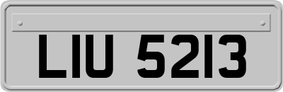 LIU5213