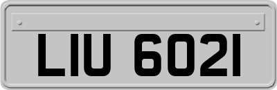 LIU6021
