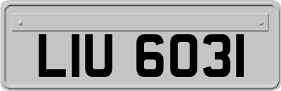 LIU6031