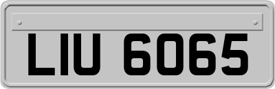 LIU6065