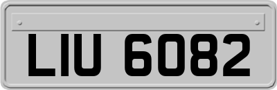 LIU6082