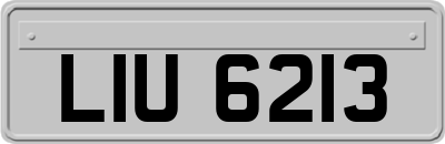 LIU6213