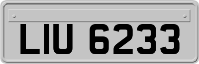 LIU6233