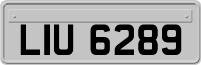 LIU6289