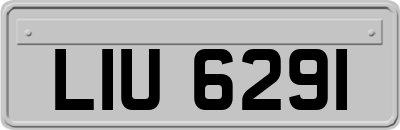 LIU6291