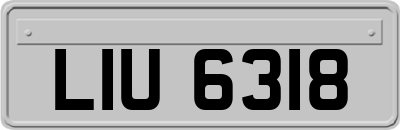 LIU6318