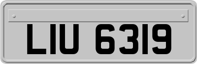 LIU6319