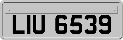 LIU6539