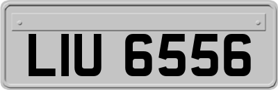 LIU6556