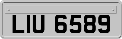 LIU6589