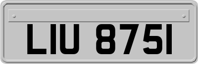 LIU8751