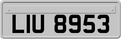 LIU8953