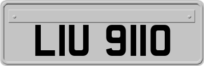 LIU9110
