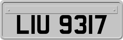 LIU9317