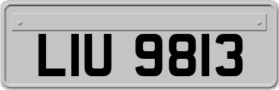 LIU9813