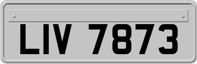 LIV7873