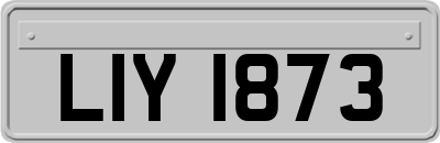 LIY1873