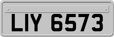 LIY6573
