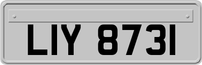 LIY8731