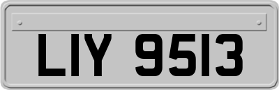 LIY9513