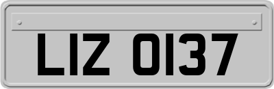 LIZ0137