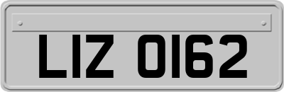 LIZ0162