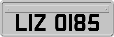 LIZ0185