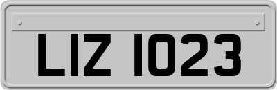 LIZ1023