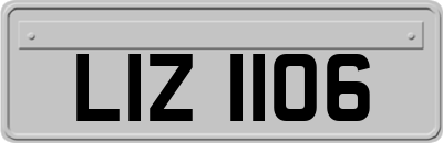 LIZ1106