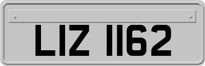 LIZ1162