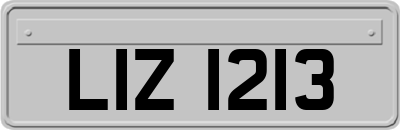 LIZ1213