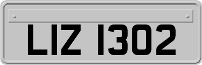 LIZ1302
