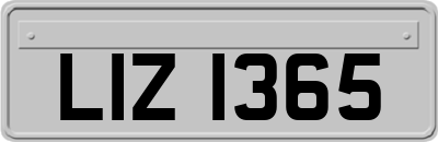 LIZ1365