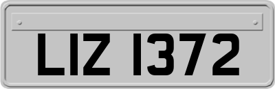 LIZ1372
